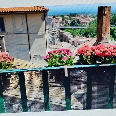 La Casa Del Sole Apartment Caprarola Ngoại thất bức ảnh